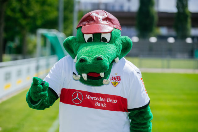 Fritzle, Kult-Maskottchen des VfB Stuttgart